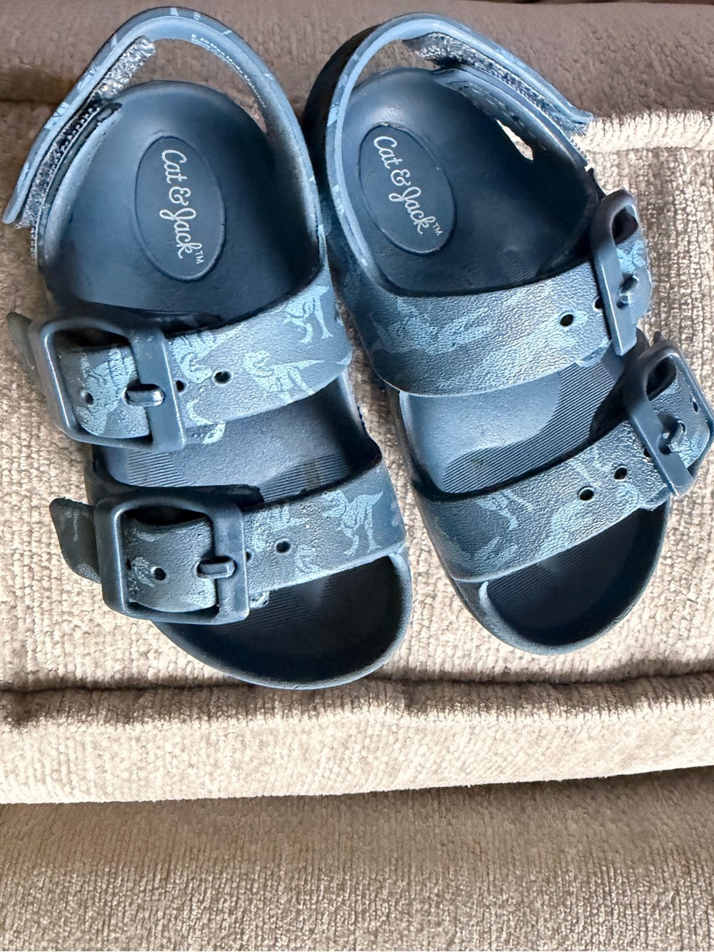 Cat & Jack Dino Sandals